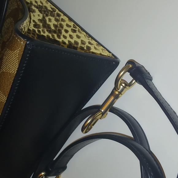 Coach Pepper - Picture 13 of 16